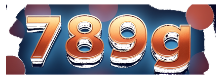 789g logo